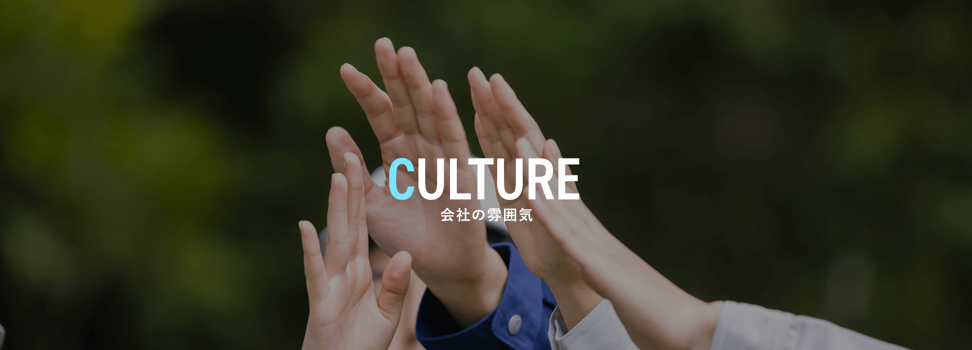 会社の雰囲気